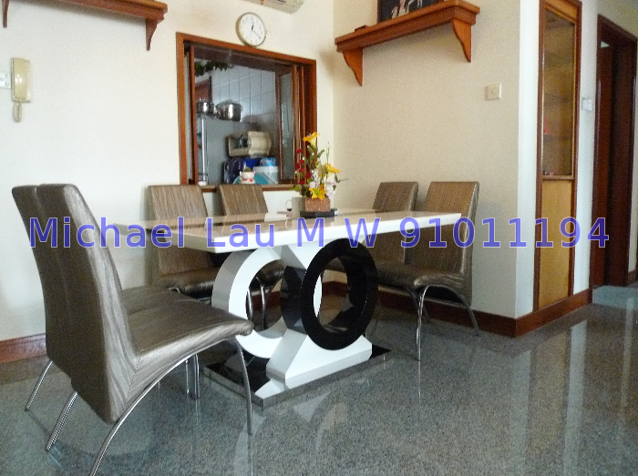 Parc Vista (D22), Condominium #49256952